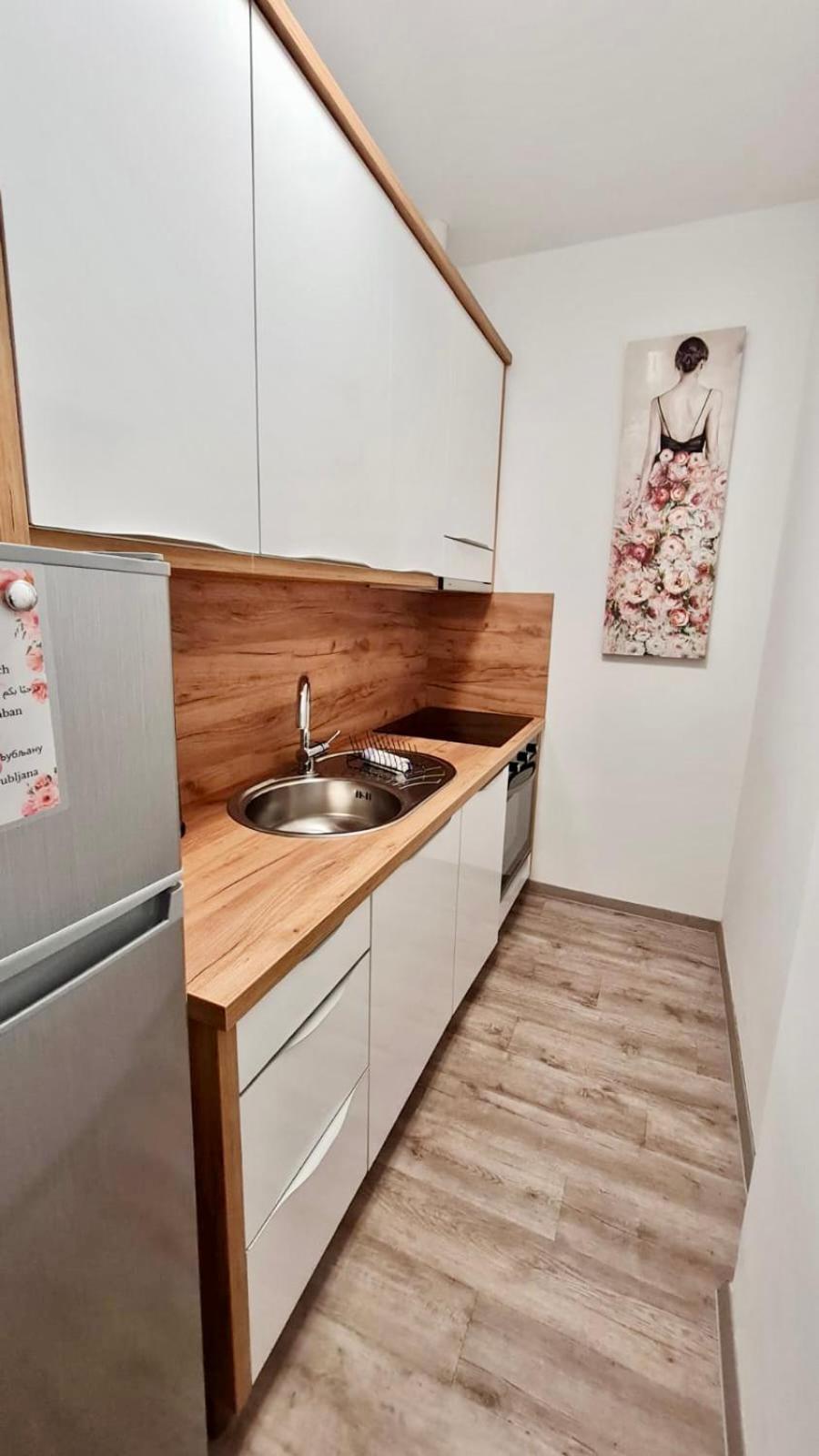 Ljubljana Central Lux Apartment With Free Parking Zewnętrze zdjęcie